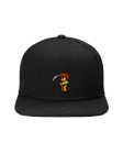 Kepurė  Terraria Duke Characher